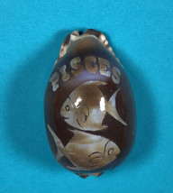 Vintage Tiger Cowry Seashell Scrimshaw Carved Pisces Perfect Cypraea Tigris - £9.17 GBP