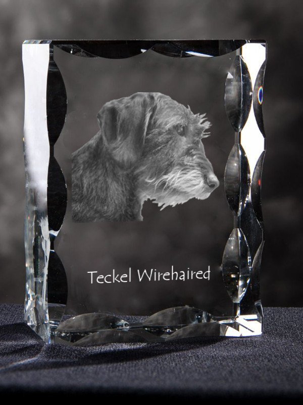 Dachshund wire-haired , Cubic crystal with dog, souvenir, decoration, home decor - $82.99