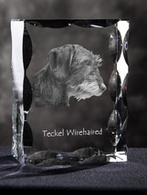 Dachshund wire-haired , Cubic crystal with dog, souvenir, decoration, ho... - £65.11 GBP