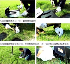 Item image 13