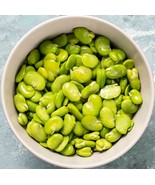 Broad Windsor Fava Bean 400 Seeds - $72.51