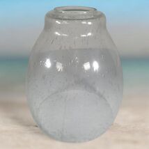 Replacement Chandelier Shade Clear Seeded Bubble Glass Progress Lighting... - €21,32 EUR