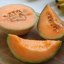 Minnesota Midget Cantaloupe Melon Fruit Seed Open Pollinated Patio Fresh Garden  - £12.94 GBP