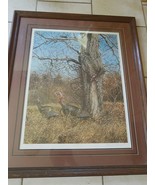 RARE Large Richard Plasschaert Wild Turkey Tree Signed Numbered Print  5... - £270.00 GBP
