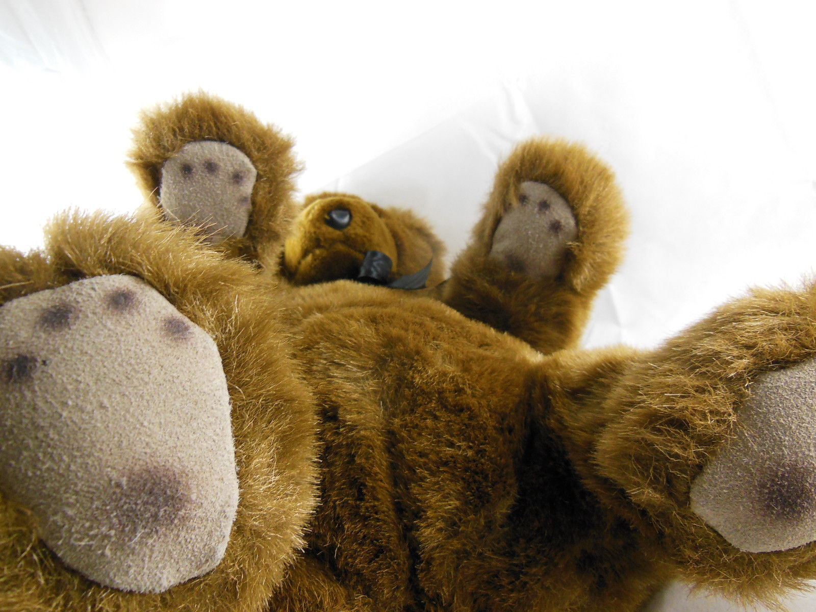 24k polar puff special effects bear sale