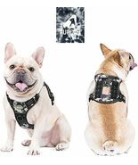 Auroth Dog Harness – Tactical and Training Reflect Harness – Black, Small - £20.44 GBP
