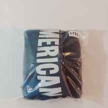 American Eagle Outfitters Men's Cotton Blend Blue Graphic Hoodie Sweatshirt Sz M image 12