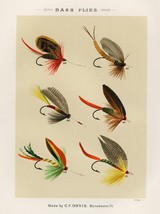 13832.Decor Poster.Room interior art design.Fishing fly.Fish market bait shop - £12.74 GBP+