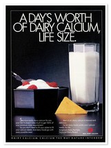 National Dairy Board Life Size Daily Calcium Vintage 1990 Full-Page Maga... - $9.70