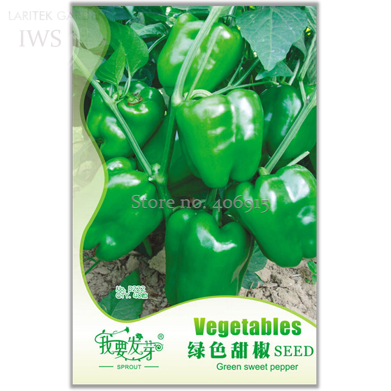 Organic Green Bell Sweet Pepper Seeds Pack 40 Seeds Organic Vegetable Courtyard
