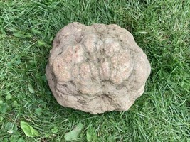 14 Lb + Indiana Geode  Crystals , minerals,fossil   Intact Jewelry Lapidary - $101.72
