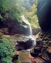 Waterfall In The Woods Wall Art Print Poster (16X20) From Watkins, New York. - $35.92