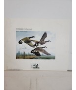 1984 OREGON State Waterfowl Stamp Print MICHAEL SIEVE Fish Wildlife Pres... - £23.08 GBP