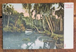 View on the Tomoka River - Touring Boat, Florida - C.1907-1915 Postcard - £7.20 GBP