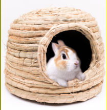 Cozy Critter Castle - Warm Winter Hamster Nest and Hedgehog House - £16.54 GBP+