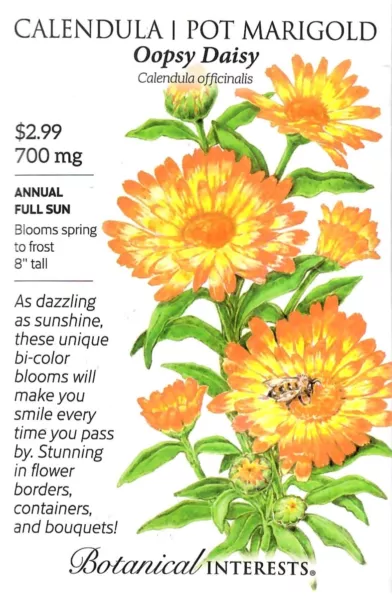 Calendula Oopsy Daisy Flower Seeds Botanical Interests 12/24 Fresh New - $10.70