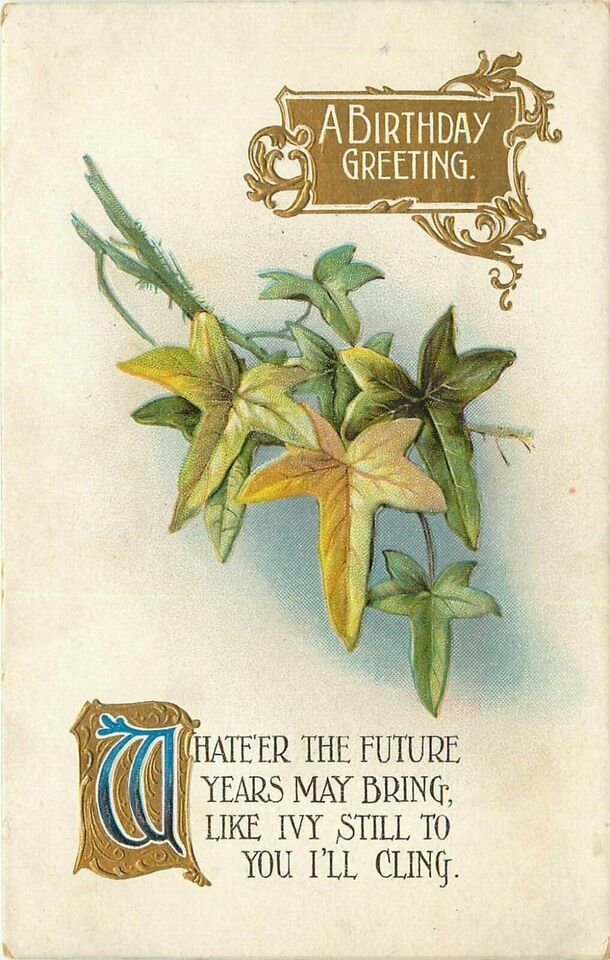 Antique DB Postcard K011 Birthday Greeting Ivy Cling Embosses BB London ... - $4.95