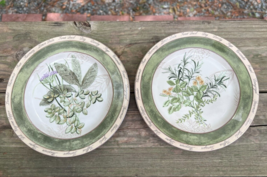 American Atelier BOUQUET GARNI 5011 Salad Dessert Plates Set of 2 8" - $6.73