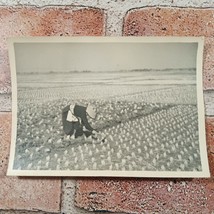 Vintage Found Photo Japanese Citizen Planting Rice Field 1930&#39;s 1940&#39;s Paper - £12.74 GBP