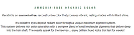 All-Nutrient Keratint Color-Glaze Hair Color - 10CS Very Light Cool Slate image 3