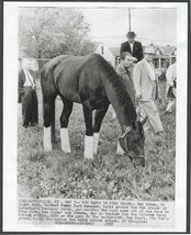 1958 - Kentucky Derby winner TIM TAM grazing at Churchill Downs - 8&quot; x 10&quot; - £15.71 GBP