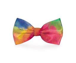 Elegant Rainbow Tie-Dye Dog Bow Tie - $15.79