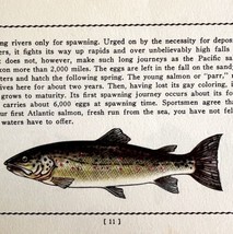 Atlantic Salmon 1939 Fresh Water Fish Art Gordon Ertz Color Plate Print PCBG20 - £23.59 GBP