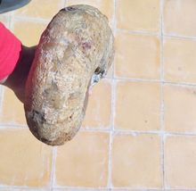 Item image 13