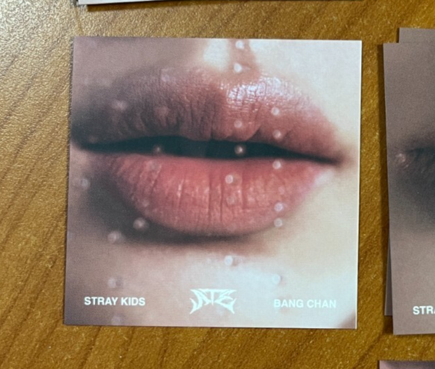 Bangchan Stray Kids Official Lip Photocard &#39;ATE&#39;_Kpop Authentic Accordia... - $4.99