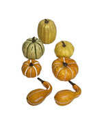 COLORFUOL LOT OF DAUX MINI PUMPKINS FALL DECOR 7 PCS VAR OF PUMPKINS &amp; G... - £9.47 GBP