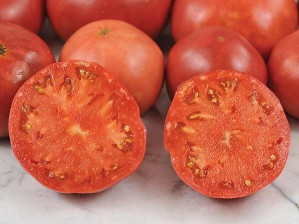 50 Seeds Rebekah Allen Tomato Tomatoe Vegetable Garden Edible Canning - $5.18