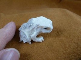FROG-W27) little Frog shed ANTLER figurine Bali detailed carving amphibi... - £38.88 GBP