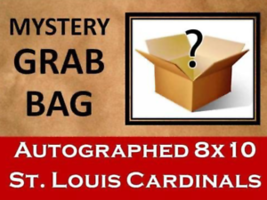 St. Louis Cardinals Mystery Autographed 8x10 Photo ( Take A Chance ) - £11.99 GBP