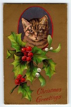 Christmas Postcard Kitten Cat Holly Leaves H I Robbins Embossed 1907 Unposted - £16.02 GBP