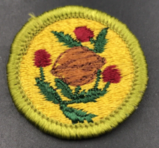 Boy Scouts BSA Fruit &amp; Nut Growing Merit Badge Patch Type G 1.5&quot; Dia 1961-1971 - £6.13 GBP