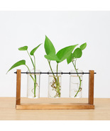 Wooden Glass Vase, Plant Hydroponic Vase, Flower Vase Modern Decor - $27.99