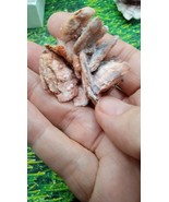 Barite/ Chalcedony /Calcite Unique Specimens - ( 4 )  Socorro County, NM - $691.63 MXN