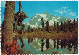 Saskatchewan Postcard Mt Baker National Forest Me Shuksan From Heather Meadow - £2.33 GBP