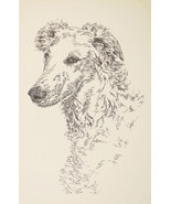 BORZOI RUSSIAN WOLFHOUND ART Kline WORD DRAWING #31 - £39.92 GBP