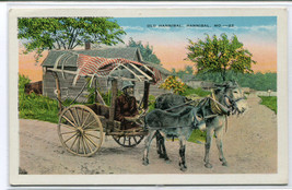 Old Hannibal Donkey Cart Hannibal Missouri 1930s postcard - $6.93