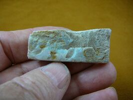 (O-240-19) 17.7 gram orange green Coober Pedy opal specimen stone Australia - $27.99