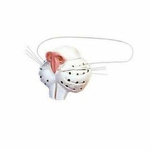 Rabbit Nose - $9.49 CAD