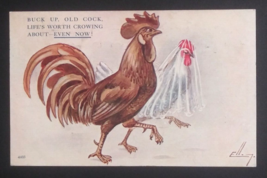 Buck Up Rooster and Hen in Veil Wedding Humor Funny Comic Alpha Postcard c1910s - $19.99