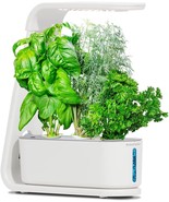 AeroGarden Sprout with Gourmet Herbs Seed Pod Kit - Hydroponic Indoor Ga... - $194.61 CAD