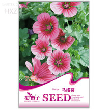 Beautiful Malope Trifida 30 ornamental up your Seeds, light garden - £8.90 GBP