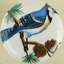 Cabinet Knobs Knob w/ Bluejay Bird #3 - $98.83 MXN