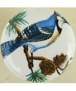 Cabinet Knobs Knob w/ Bluejay Bird #3 - $98.42 MXN
