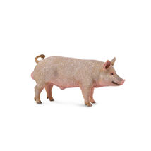 CollectA Pig Figure (Medium) - Boar - $19.98