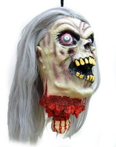 Gory Halloween Props Life Size Walking Dead Zombie Rotting Corpse Severed Head  - £23.17 GBP