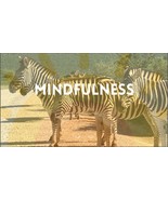 Mindfulness Guide with photo images as background - $3.92